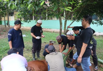 Ibadah Qurban pada Hari Raya Idul Adha 1446 H