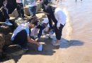 STUDI LAPANGAN MAPEL KIMIA – BIOLOGI – GEOGRAFI – SOSIOLOGI PANTAI TAKISUNG 2 MEI 2026